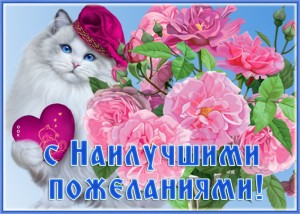 Create meme: greeting card with flowers, cards, beautiful cards