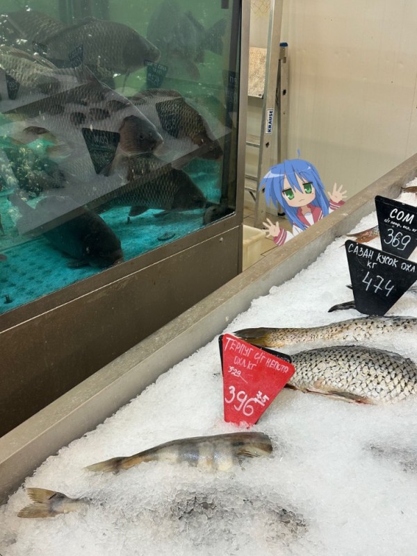 Create meme: frozen fish, laying out the fish, live fish