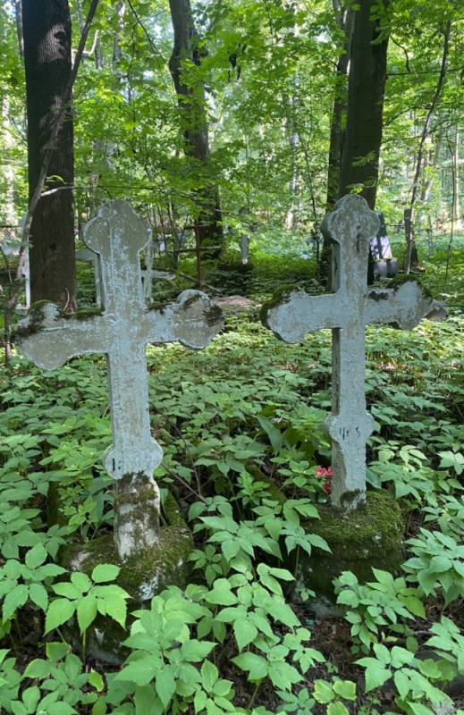 Create meme: Smolensk Orthodox Cemetery St. Petersburg, Gromov Old Believers cemetery, cemeteries