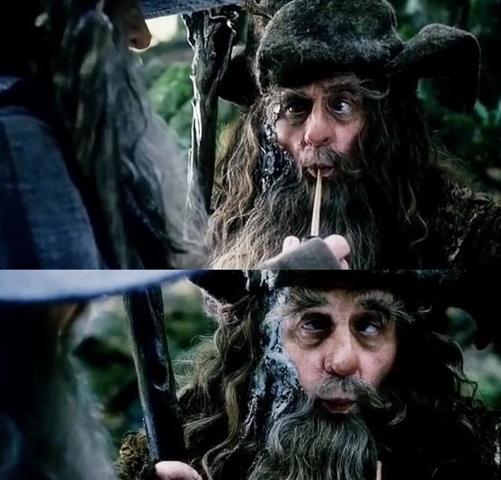 Create meme: Radagast the brown the hobbit, Radagast the Lord of the Rings, the Lord of the rings Gandalf