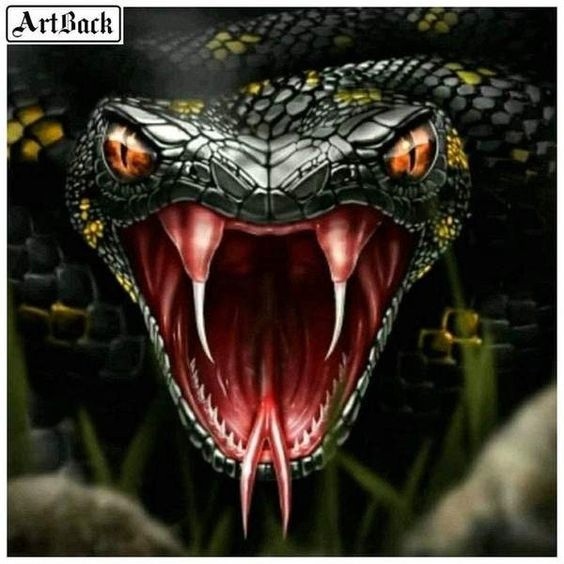 Create meme: Snake's mouth, The king cobra snake is evil, The snake is evil