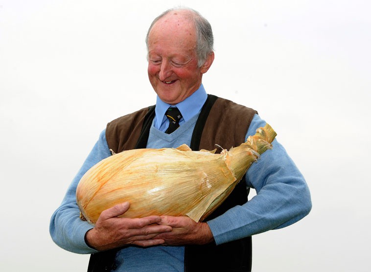 Создать мем: самый большой овощ, питер глейзбрук, огромная луковица