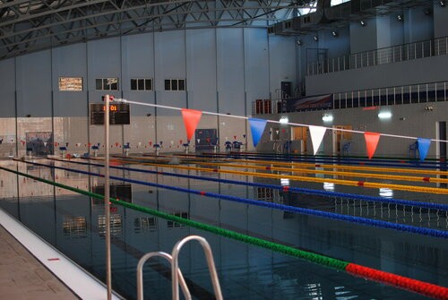 Create meme: pool , Voronezh State University swimming pool, pool sports