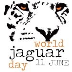 Create meme: jaguar brand, English text, World Jaguar Day