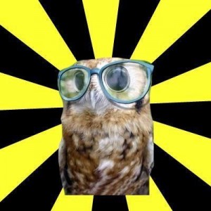 Создать мем: gözlüklü, baykuş, funny owl