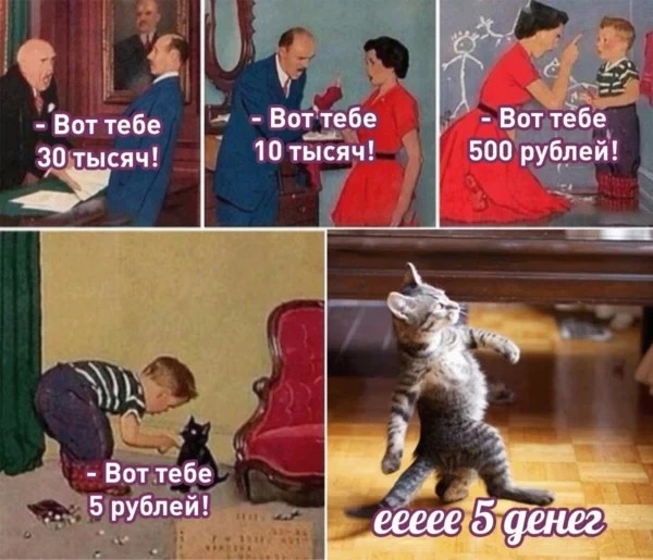 Создать мем: коты, смешные мемы, кот