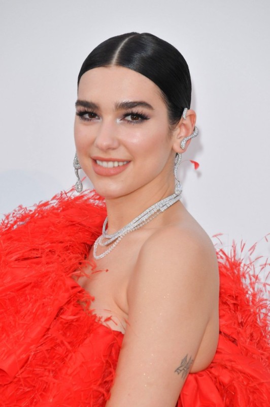 Create meme: dua lipa, kendall, dua lipa 2017