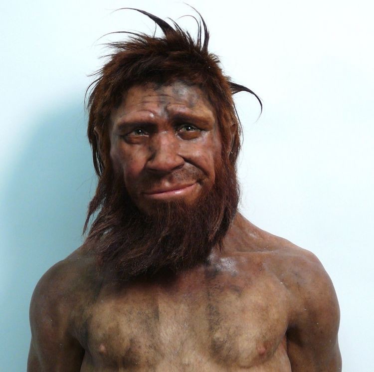 Create meme: Homo neanderthalensis reconstruction, Neanderthal , the ancient people, the Neanderthals