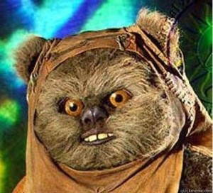 Create meme: evil Ewok, meme prepare your anus, Ewok prepare your