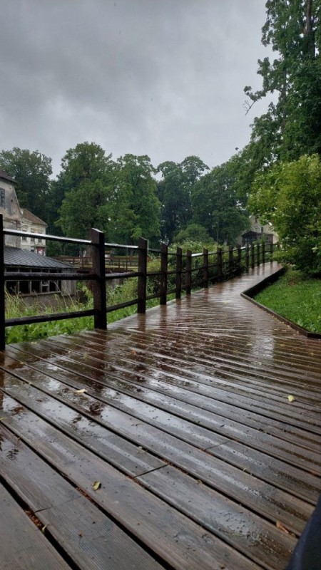 Create meme: old wooden bridge, shoes , Park 