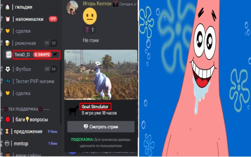 Create meme: screenshot , Patrick , Patrick star 