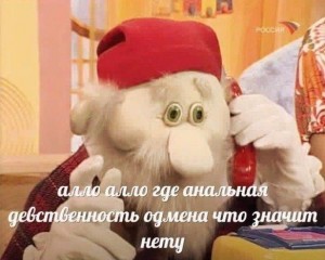Create meme: bukvoezhka good night, Bukvoezhka, dwarf bukvoezhka