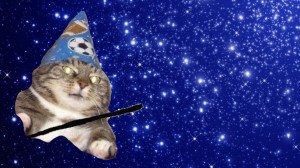 Create meme: Cat, cat, Starry sky