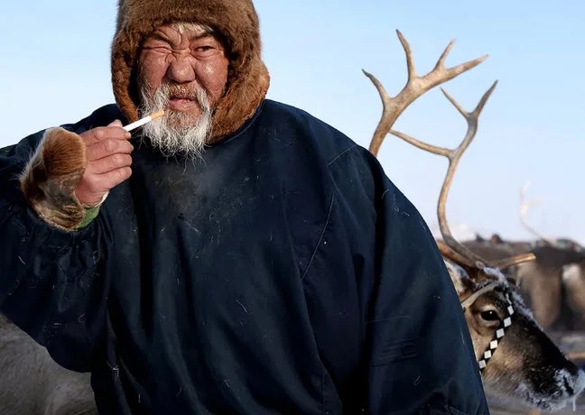 Create meme: reindeer , nenets reindeer herders, indigenous peoples of the north