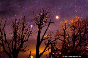 Создать мем: дерево, звезды ночью, дерево на закате