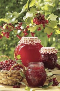 Create meme: red currant, jam from viburnum