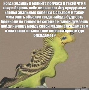 В августе попугай выучил 7 новых слов а в сентябре на 4 слова больше схема