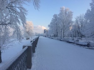 Создать мем: зимний пейзаж, зимняя стужа, зимнее