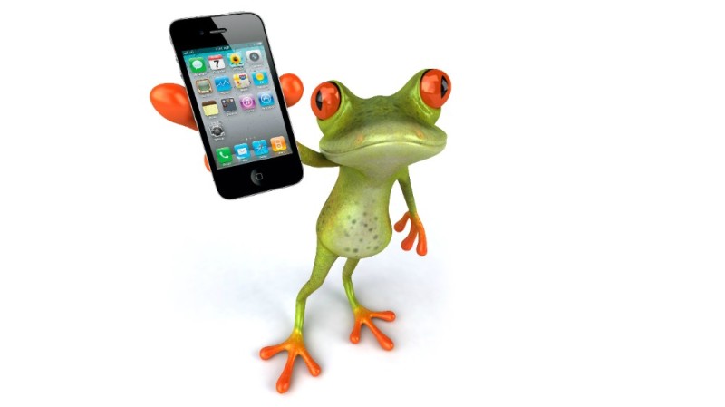 Create meme: A frog with a phone, frog, a frog with a phone