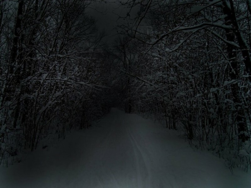 Create meme: Winter forest night, Gloomy winter landscape, dark winter forest