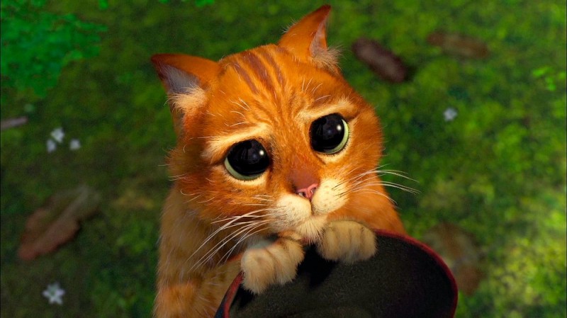 Create meme: puss in boots cute eyes, meme the cat from Shrek, Shrek cat