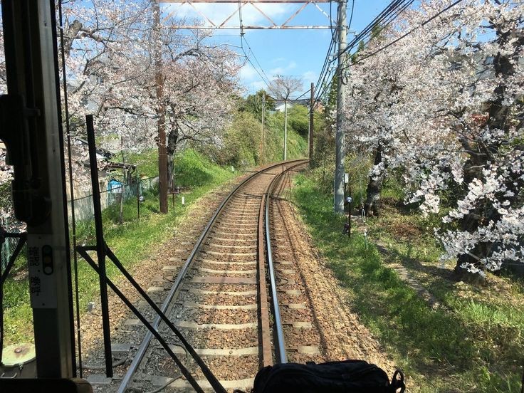 Create meme: nature , rail journey , Japanese nature