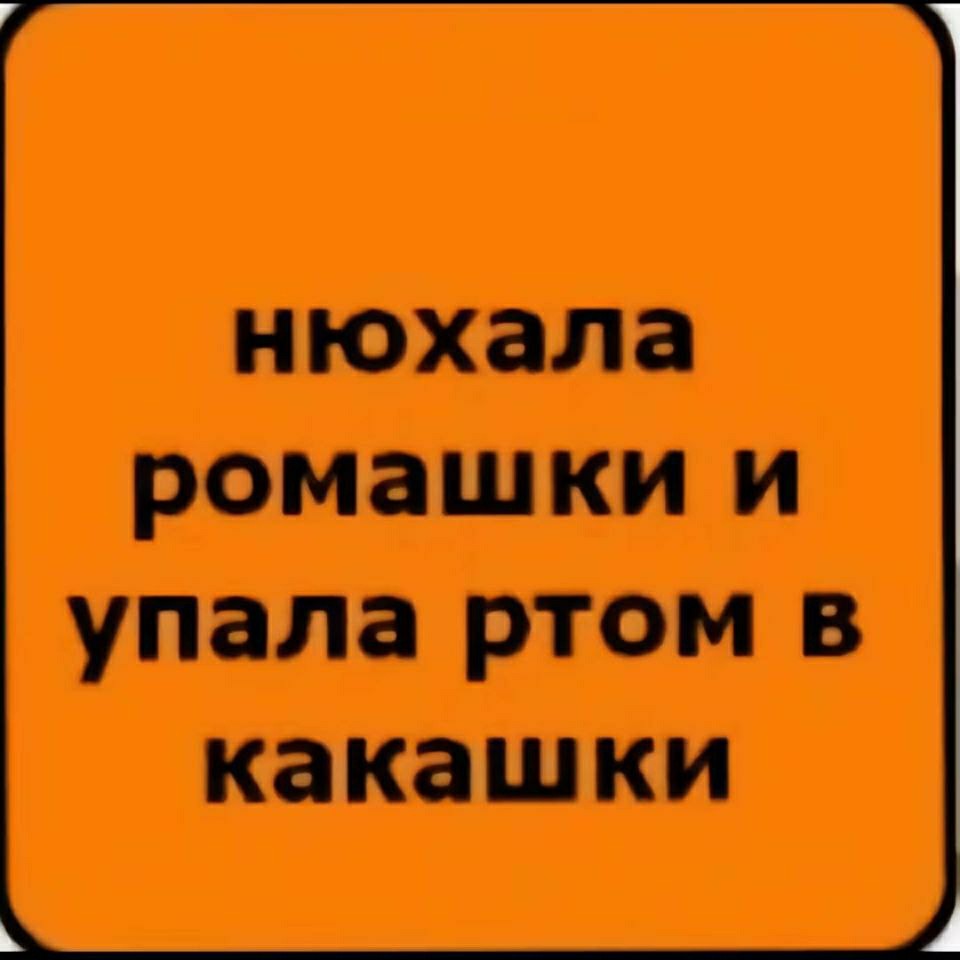 Создать мем: стих про карину смешной, настя нюхала ромашку и споткнулась, яна нюхала ромашку