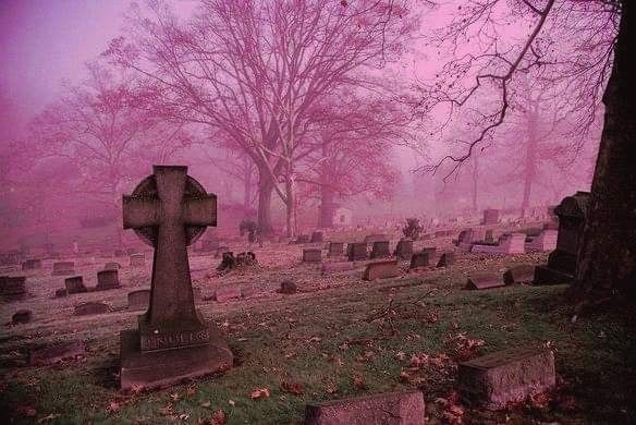 Create meme: old cemetery, Gothic cemetery, beautiful cemetery