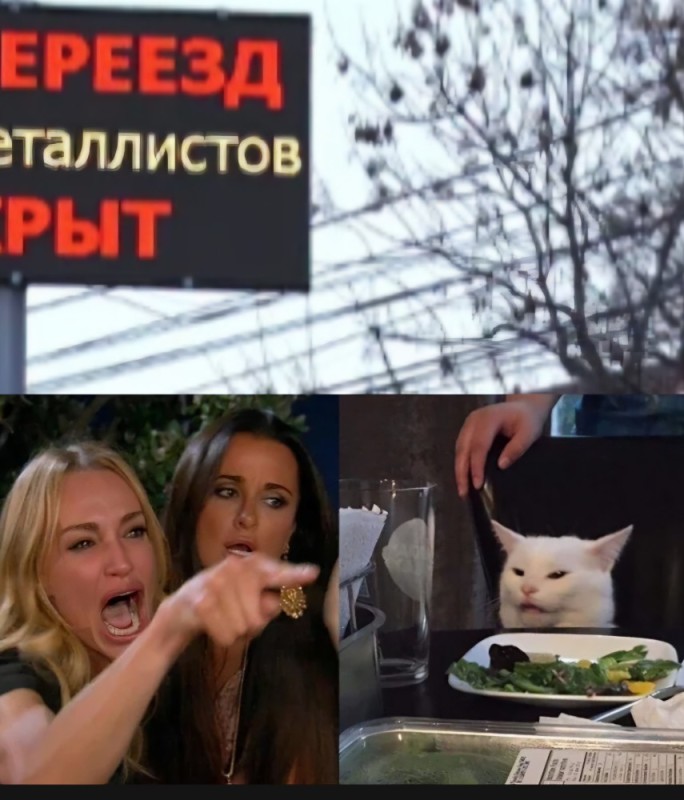 Create meme: meme woman yelling at the cat, catwoman meme, cat meme 