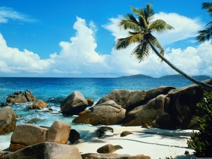 Create meme: the Aldabra Atoll, landscape, stone beach