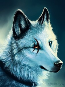 Create meme: white wolf fantasy, wolf avatar, photo for VC wolves