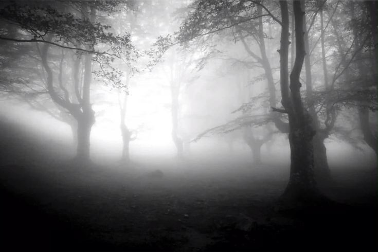 Create meme: dark fog, hazy color, fog nature