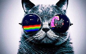 Create meme: cat in glasses, avatar cat in glasses, pictures cat with glasses space