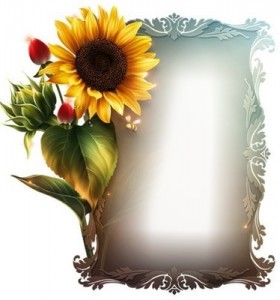 Create meme: flowers frame, sunflower