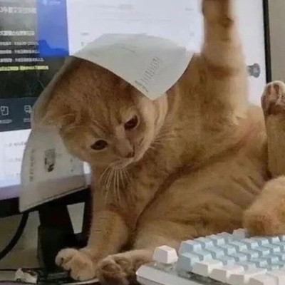 Create meme: The cat, cat Intern, funny cat