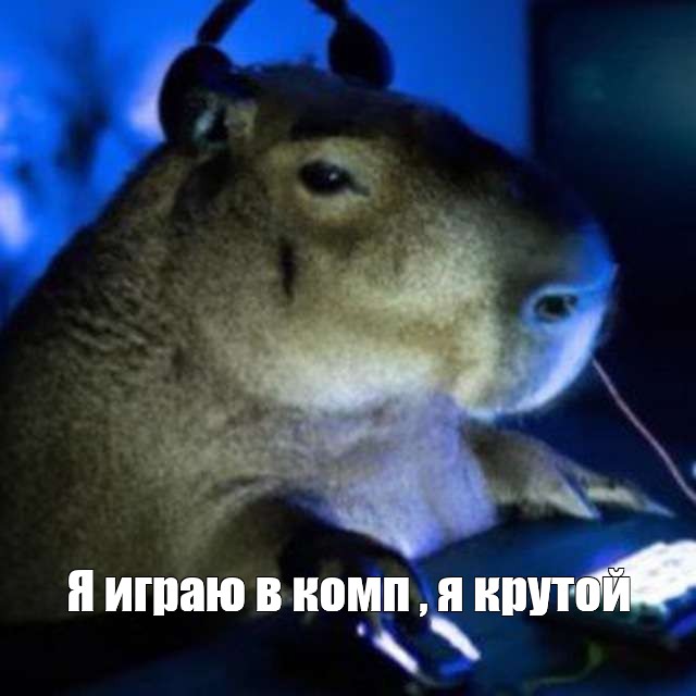 Создать мем: null