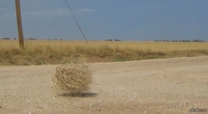 Create meme: grass rolling stone, tumbleweeds in the desert photo, rolling stone