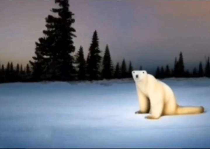 Create meme: polar bear day, nature of the arctic, polar bear 