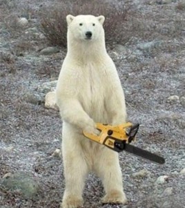 Create meme: polar bear funny, polar bear