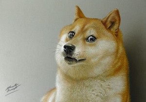 Create meme: Shiba inu doge, doge dog