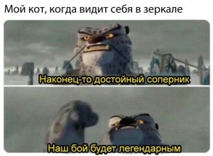 Создать мем: тай лунг наконец то достойный противник, наконец то достойный противник мем, наконец достойный противник мем