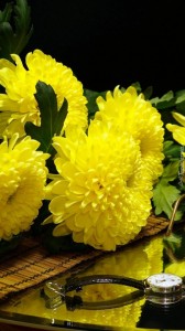 Создать мем: цветы хризантемы, желтые хризантемы на черном, натюрморт с желтыми хризантемами