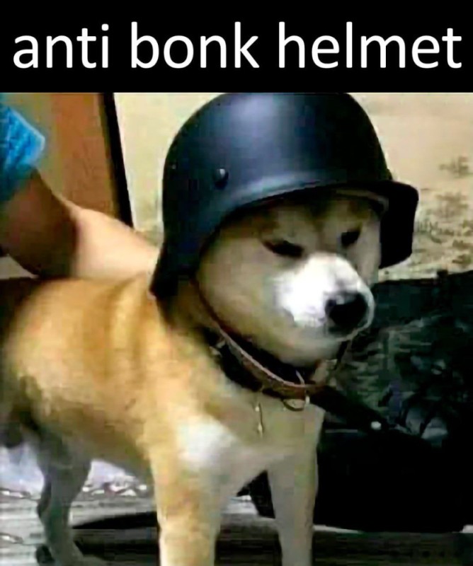 Create meme: anti bonk helmet, blind dog, doge 