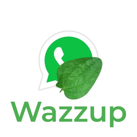 Create meme: whatsapp icon, logo , the watsap logo