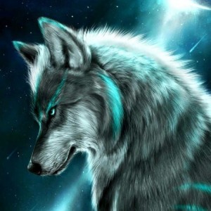 Create meme: wolf, pics alpha wolf, wolves drawings