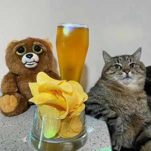 Создать мем: кот степан, кот с бокалом вина, кот с бокалом