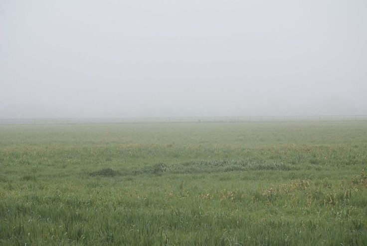 Create meme: fog in the steppe, fog field, blurred image