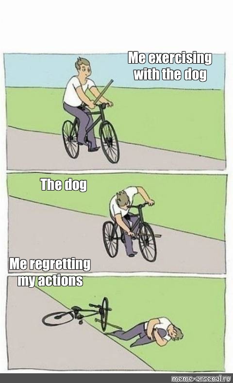 Сomics Meme: "Me Exercising With The Dog The Dog Me Regretting My ...