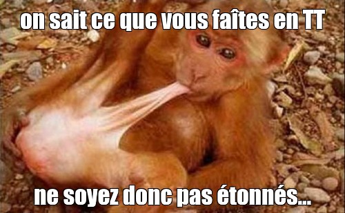 Create meme "chimp, funny monkey, monkey sex" - Pictures ...