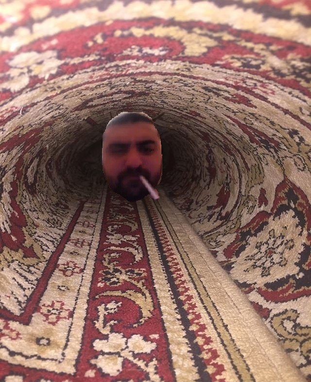 Create meme: carpet meme, a cat in a carpet roll, carpet carpet